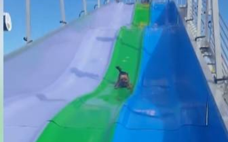 狗狗也愛玩溜滑梯！高處溜下超刺激「搖搖尾巴看起來超興奮」