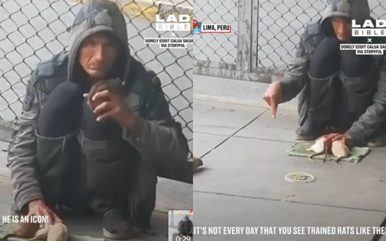 流浪漢竟然是訓鼠高手　4隻老鼠排排站「現特技」…19天破5千萬人觀看