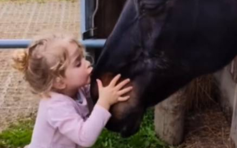 寒冷冬天不用怕　黑馬和女孩互動溫暖你的心！