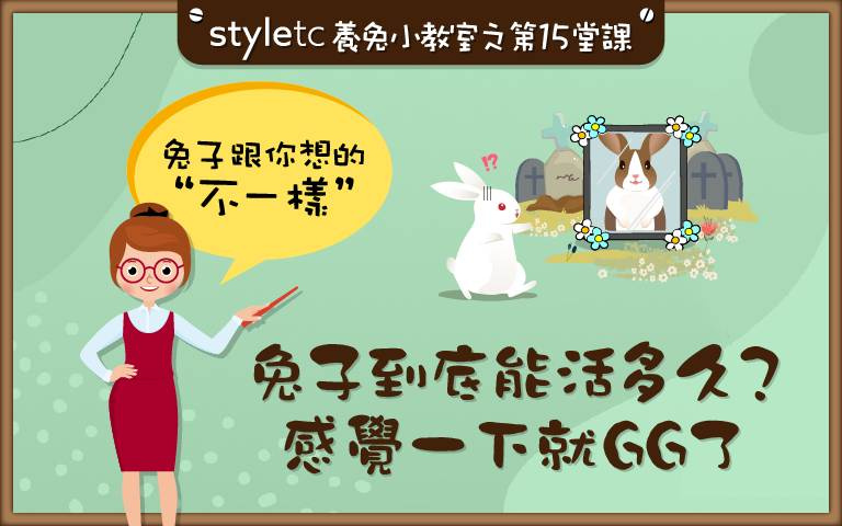 飼主照顧好,兔瑞滿地跑!「兔兔年齡換算表」大公開,「牠」竟然活到快19歲!