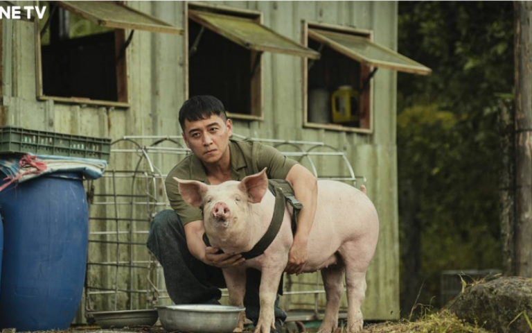 鄭人碩跟「豬演員」對戲： 好像真的在聽我講話