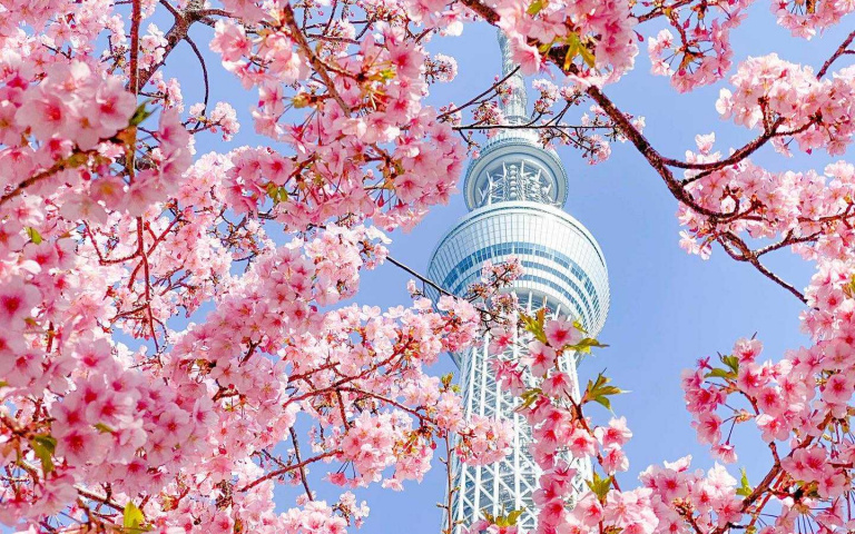 東京晴空塔大規模改裝!主打輕旅行主題 邀請兩大台灣味美食進駐