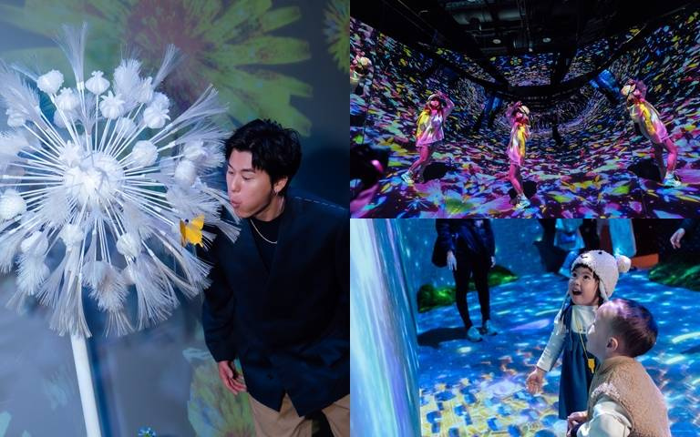 冬日必去「花之舞光影展」來囉！體驗花朵在眼前綻放，真的超夢幻！