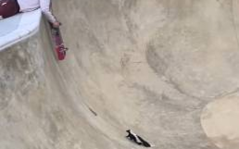 拿滑板救受困臭鼬　結局超展開！