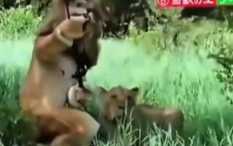 扮獅湊近獅群討自拍　下場就是拔腿狂奔