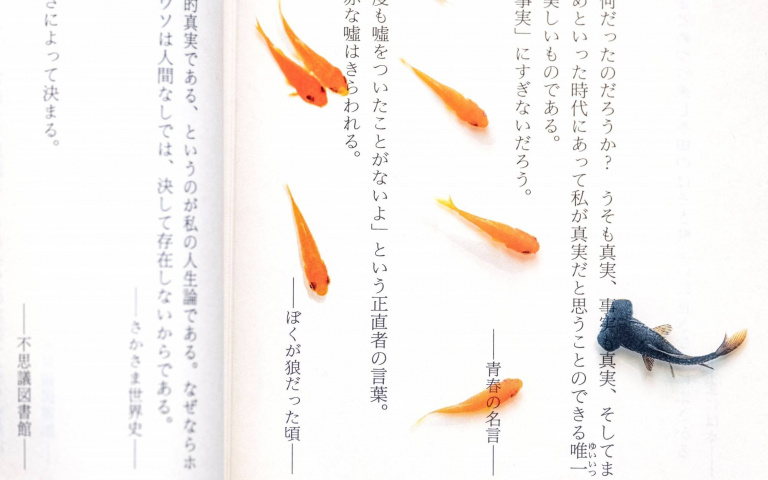 夏日看書也可以很清涼!有如優游文字間的「透明金魚書籤」