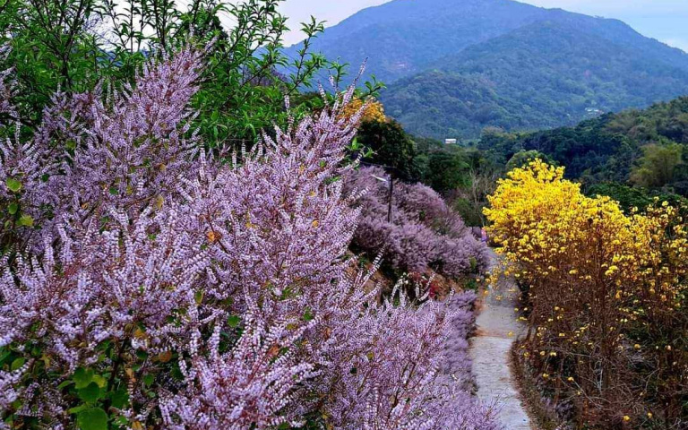 福容徠旅墾丁店指定日住房，雙人入住XX元起！福卡會員再享88折優惠！