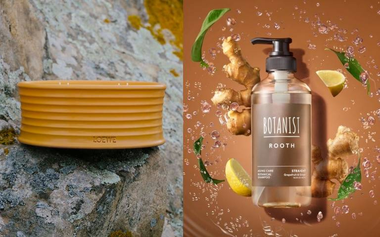 夏日生薑風潮來襲!LOEWE香氛、BOTANIST洗髮組打造療癒系居家保養都靠「生薑」
