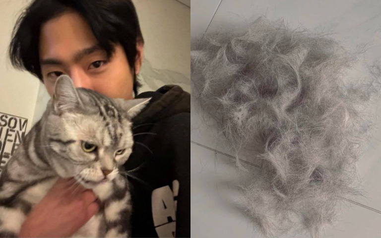 「黑色衣服沾到主子的毛」怎麼辦?貓奴搞笑留言:帶一身毛出門更驕傲!