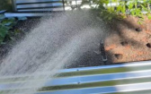 屋外澆水、眼前一道黑影飛來飛去　真相曝光了！
