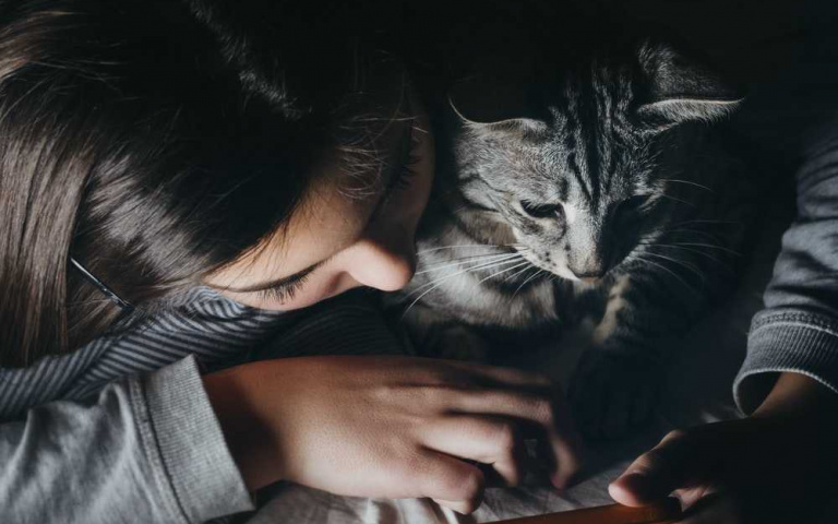 喵語翻譯機來了!有了MeowTalk就能抓緊主子的心