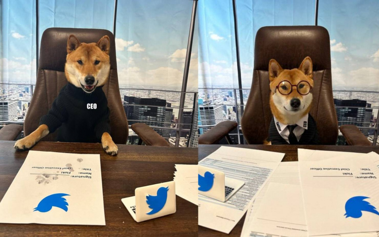 馬斯克宣布愛犬為 Twitter 新任 CEO！意外帶動狗狗幣上漲