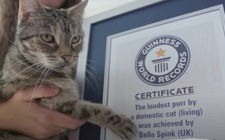 這隻貓咪…好吵！　呼嚕聲創金氏世界紀錄
