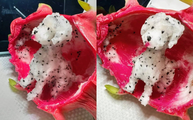 網友神手把火龍果吃成『火龍狗』!大麥町造型萌翻全網 網笑:這根本捨不得吃