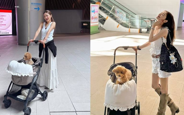 「地表最強少女顏」50歲許路兒遛狗秀時尚穿搭！大巨蛋一角手推頂級推車+香奈兒包曬萌犬太療癒