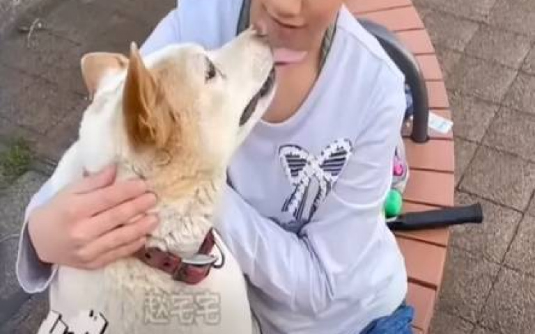 主人被綁匪擄走怎麼辦？　15年老狗緩慢行動…忠誠度為0