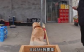 拉布拉多趕大集！　市場巡迴為主人帶回包裹、麵包、芝麻醬