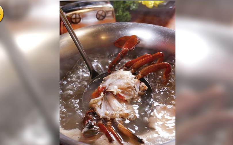 【嗑鍋季4】頂湯跳蝦活蟹健康鍋物　蝦蟹超生猛蛤蜊肥爆漿