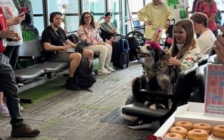 全機旅客為牠唱生日歌！值勤見「超大排場慶生」　機場巡邏犬樂到合不攏嘴