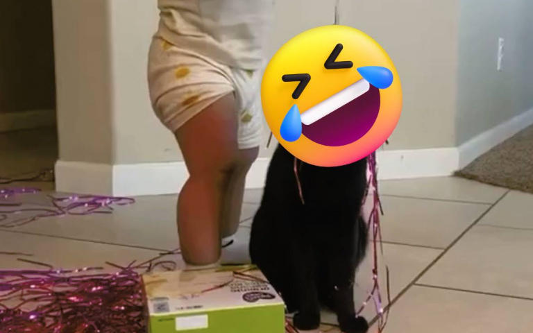 彩帶在身上，黑貓的臉超厭世！網說：原來住家裡的代價是要幫忙顧小孩！