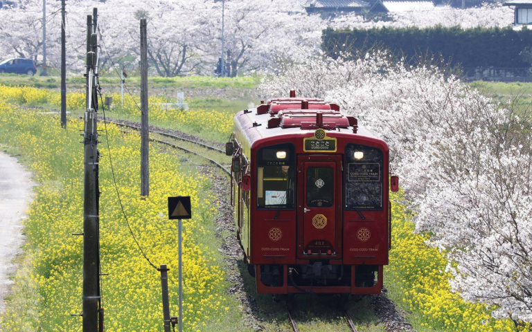 台日十大「必搭觀光列車」!「鳴日號」推出各種節日主題,大小朋友一起玩