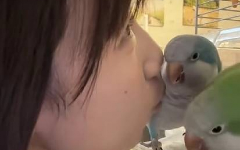 女主人熱情討親親 鸚鵡們給了滿滿的情緒價值