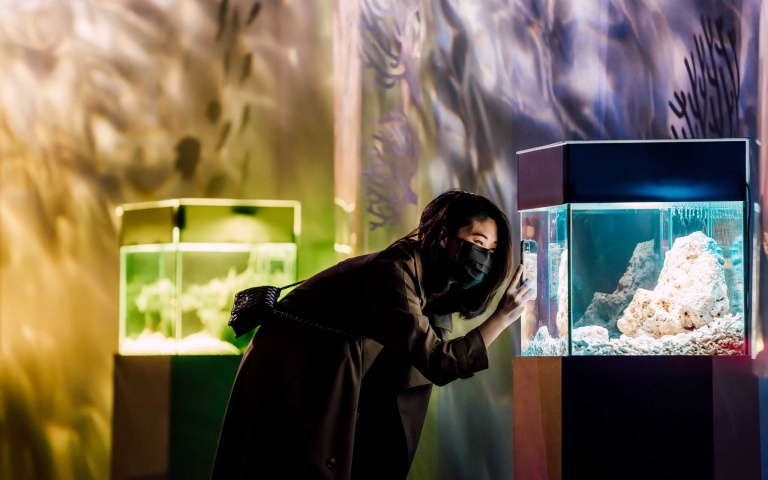 屏東海生館新年首發 七彩海洋生物展示 色水廊道夢幻登場