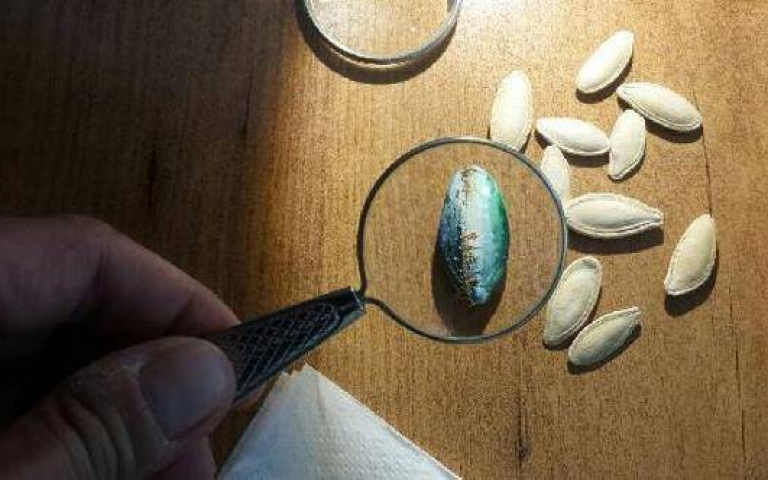 挑戰最小藝術品創作,這根本已經到微米級了吧!土耳其的微型藝術家 Hasan Kale!