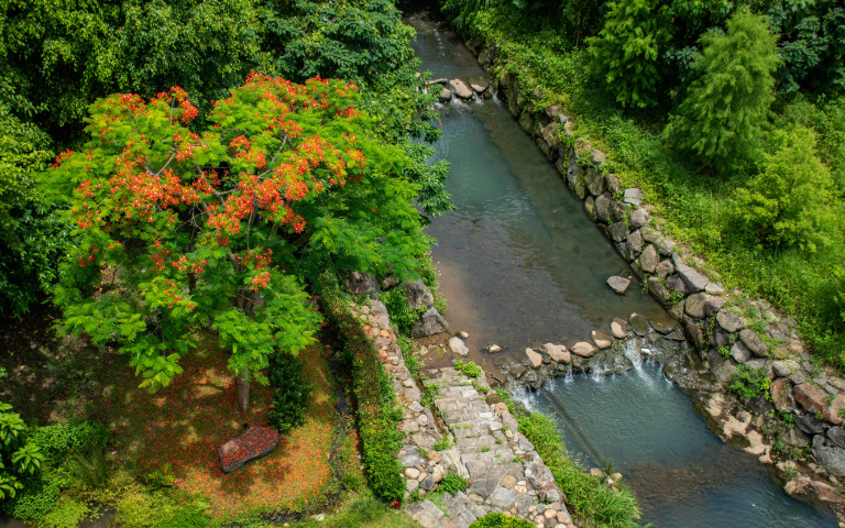 春遊最美「滬尾藝文休閒園區」尋訪淡水綠色秘境！