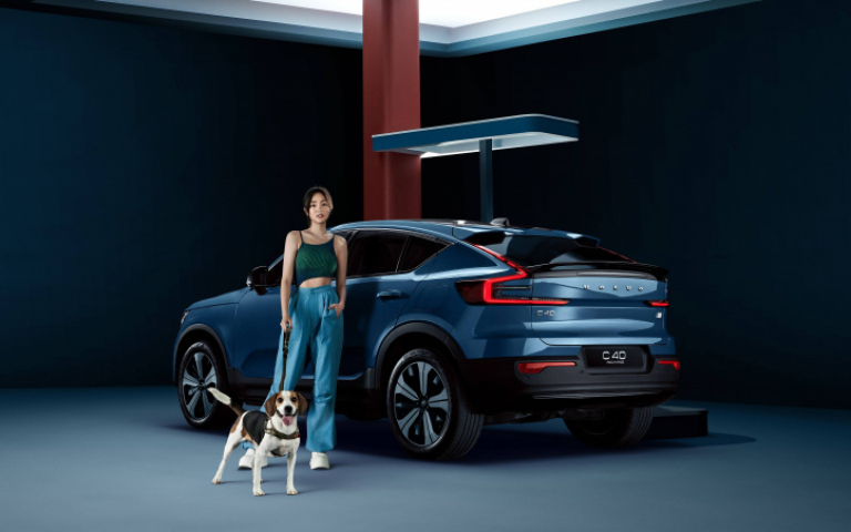 王淨拍廣告化身最美駕駛　愛犬勘吉賣萌搶鏡