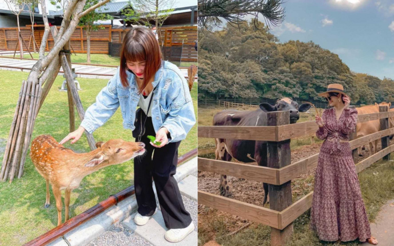 清明連假上哪去?5間超夯「親子農場」報你知 不出國也能在奈良、阿爾卑斯山走跳