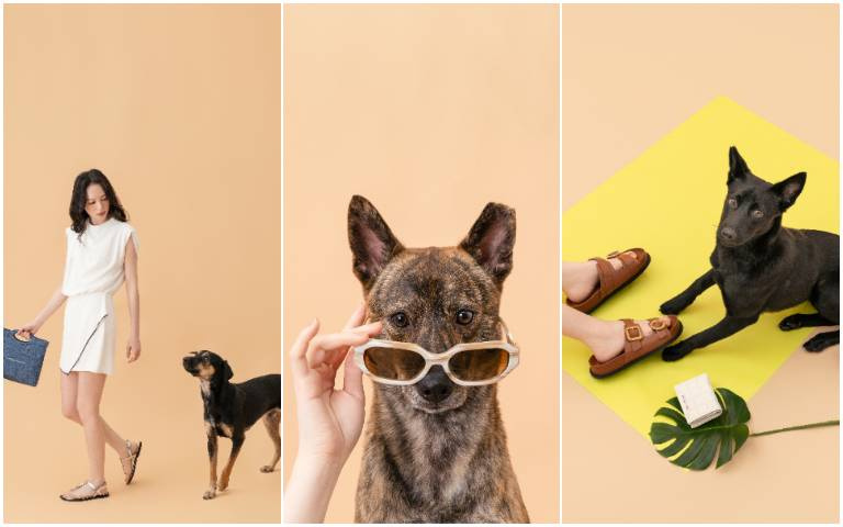 邀浪浪共享夏日假期！CHARLES & KEITH　為毛孩尋找幸福歸宿