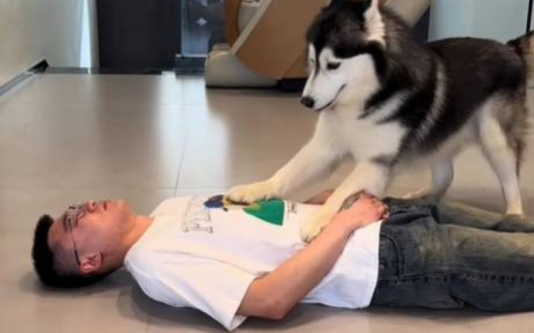 父母昏倒了二哈的反應是？　實測結果令人心碎