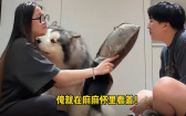 看到媽媽打爸爸、爸爸打媽媽　狗狗的態度大不同