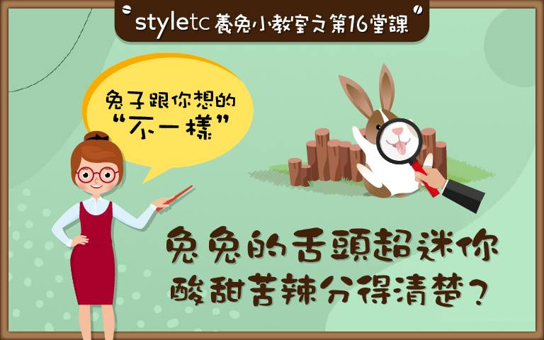 味蕾竟然這麼多!兔兔的「軟Q小舌頭」超實用,根本是動物界的「挑食大王」!