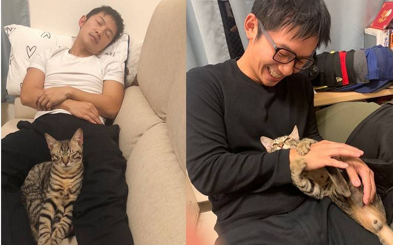 寵物情緣/從狗派轉性成貓奴 蔡昌憲一貓一孩一樣愛