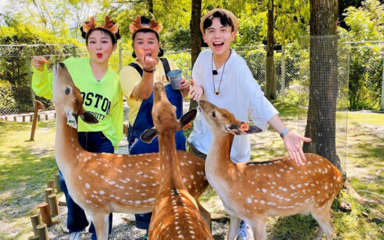 林美秀邀王彩樺《吃飯吧》　她肖想篡位嚇壞黃豪平