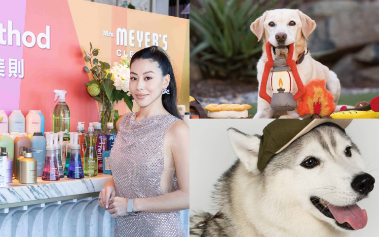 從毛孩到家庭！Pinkoi寵物設計選品、奧維永續清潔品牌共創美好生活