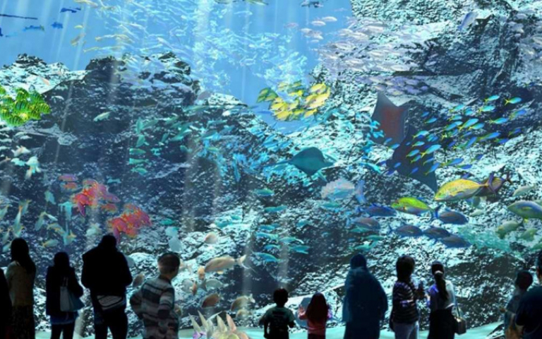 日本八景島海島樂園 海外首站「Xpark水族館」插旗桃園
