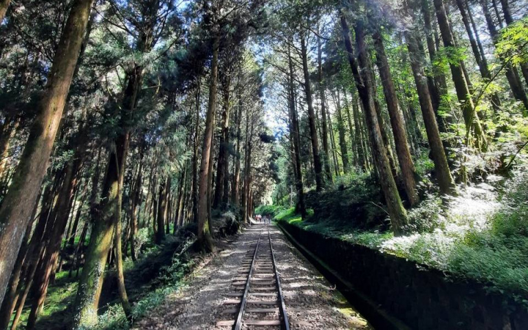 早鳥折500!「阿里山眠月線」秘境一位難求,6人成行保證進得去!