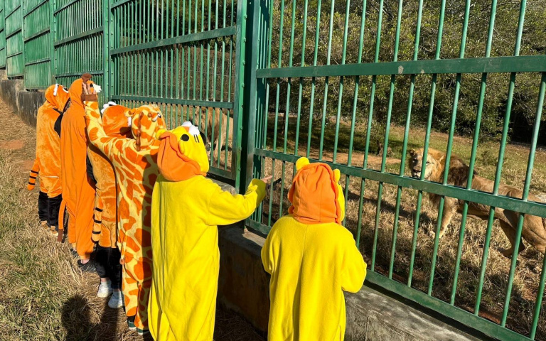 六福村「猛獸趣味路跑」！進入猛獸區體驗獅吼功，再享用戰斧豬排套餐！