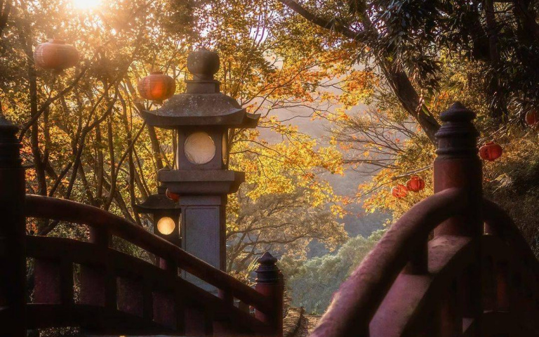 一秒到京都！神明的賞楓樂園「美到不像真的」　搭公車就能到這周最漂亮