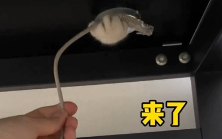 養貓千日可謂用在一時! 主人拿電線給牠穿洞…成功