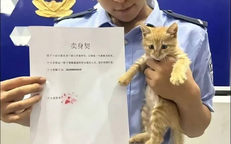小橘貓誤闖派出所竟意外獲「鐵飯碗」　喵喵探長簽賣身契：陪伴換貓糧