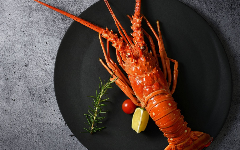 免費吃龍蝦！王品尋找「芬、芳、華、麗」，中一字半隻、中兩字直接吃整隻！