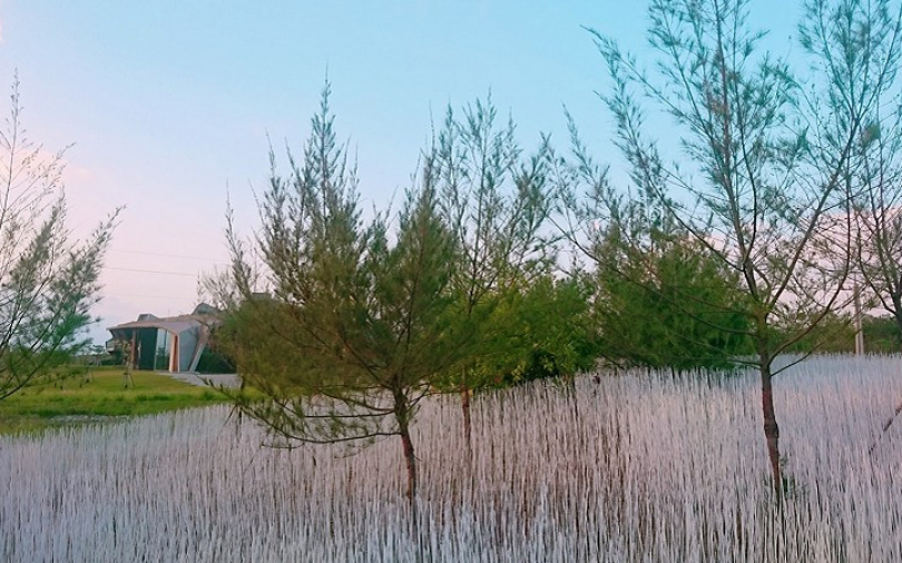 宜蘭11月下雪了　「2019壯圍沙丘地景藝術」唯美夢幻打卡點曝光