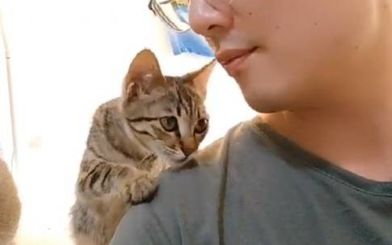 斷腿貓找到新家了! 男子細心照料「依偎肩膀畫面動容」