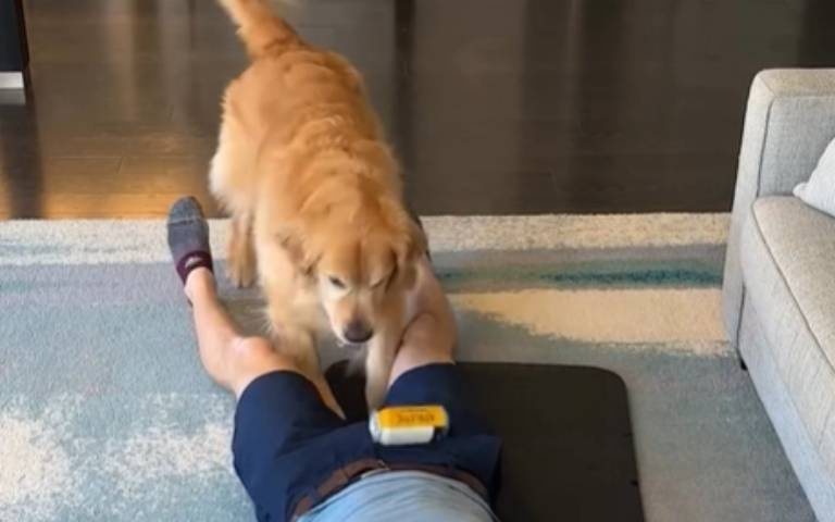 阿金太聰明也有錯？　主人教拿飲料「卻因此被砸GG」