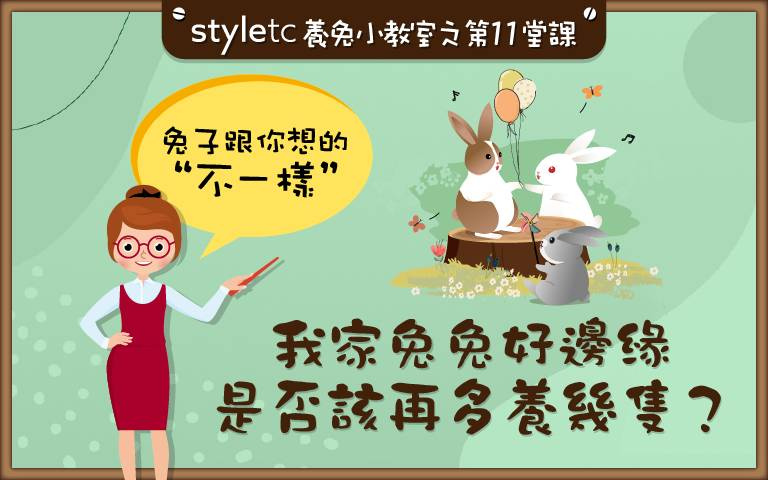 有你陪就夠了!別再自作聰明「幫兔子挑個伴」,小心家裡上演「血腥大亂鬥」!