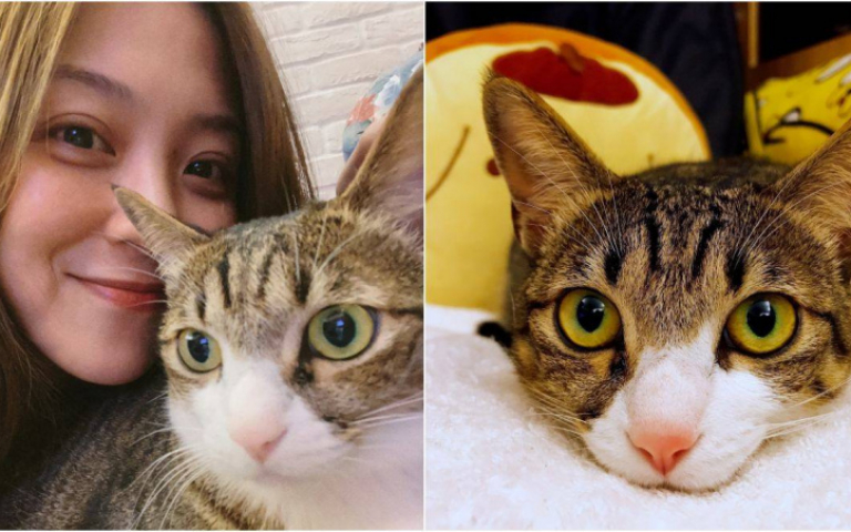 寵物情緣／卓文萱抹油救援小奶貓　獨享專屬幸福感「有被愛的感覺」